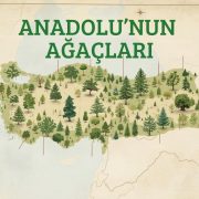 Anadolu’da Hangi Ağaçlar Var?