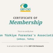 Yeşil Türkiye, Küresel Çevre Fonu (GEF) Sivil Toplum Ağı’na Akredite Oldu