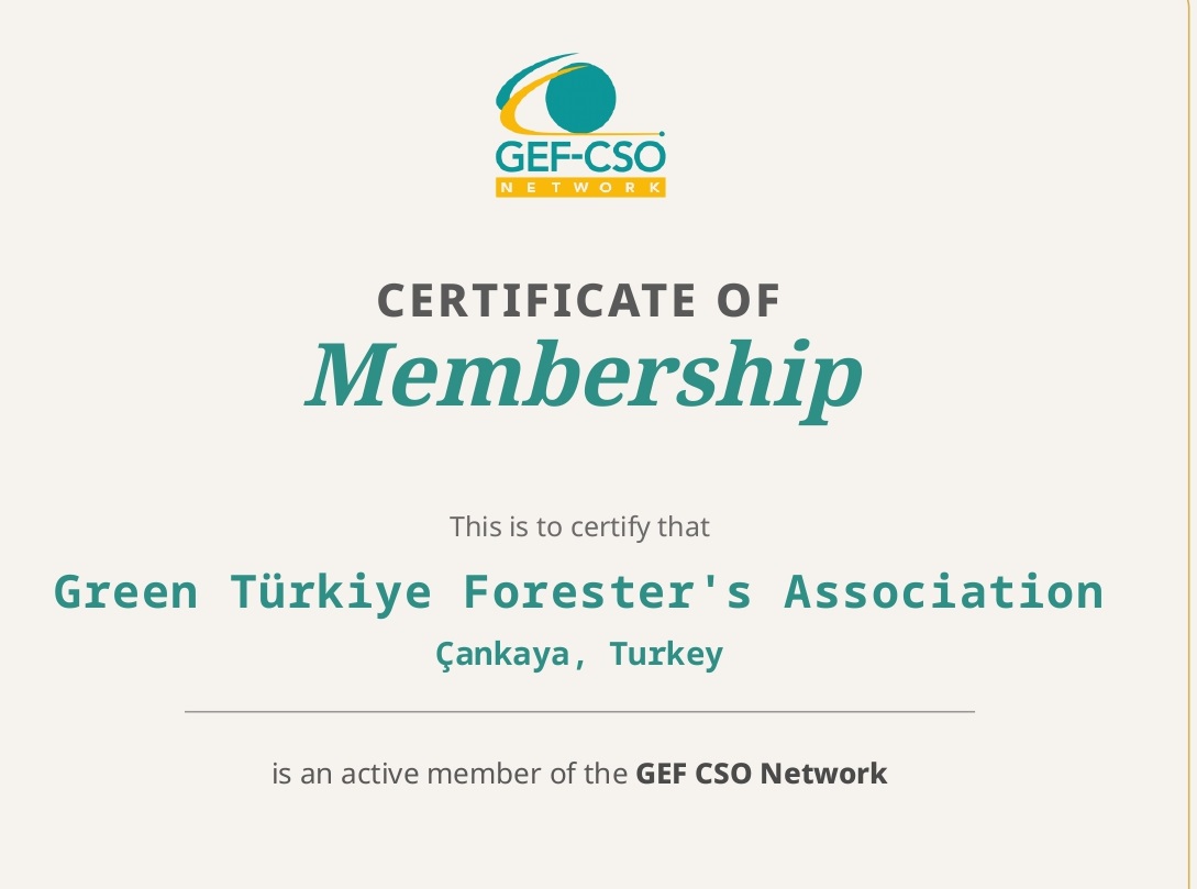 Yeşil Türkiye, Küresel Çevre Fonu (GEF) Sivil Toplum Ağı’na Akredite Oldu